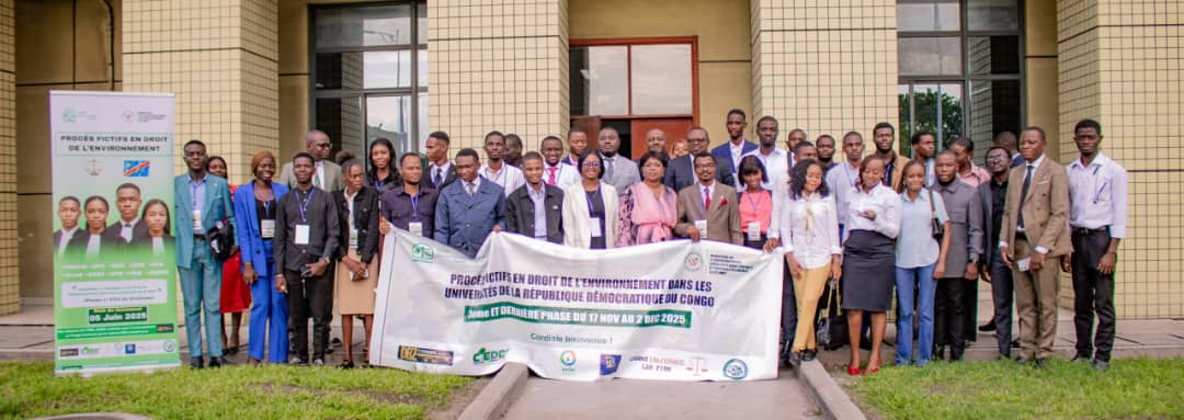 Phase préliminaire des procès fictifs en droit de l'environnement